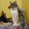 Отзыв от Дарья Куликова